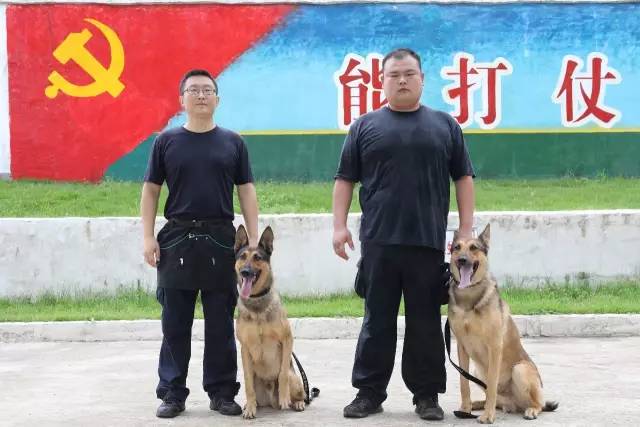 为什么篮球老将需要特殊的训练方法_0